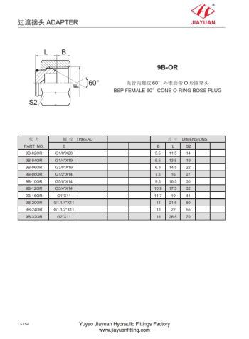 بی ایس پی خواتین 60 مخروط رنگ رنگ پلگ۔