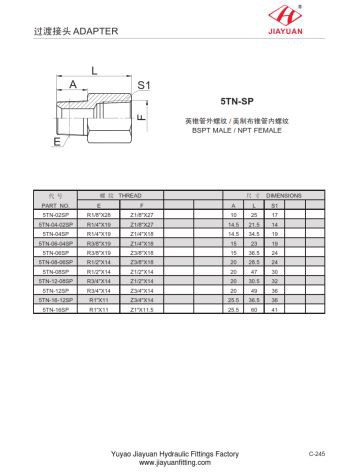 بی ایس پی ٹی سے این پی ٹی اڈیپٹر۔